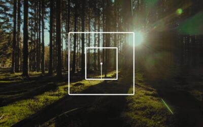 Light Now – Entre na nova era da casa inteligente